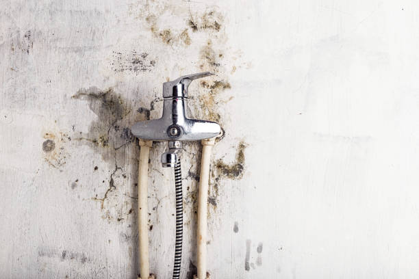 Mold Removal Process in Lockeford, CA