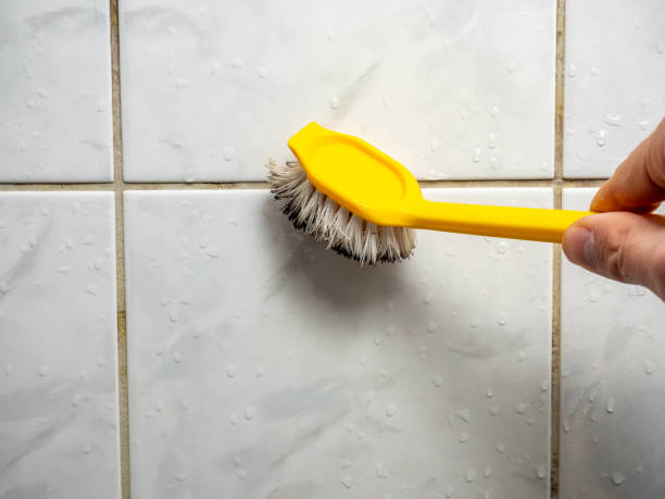 Best Emergency Mold Removal  in Lockeford, CA
