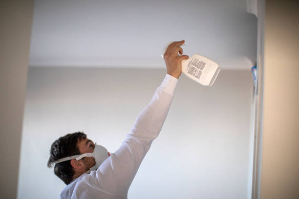 Best Affordable Mold Removal  in Lockeford, CA