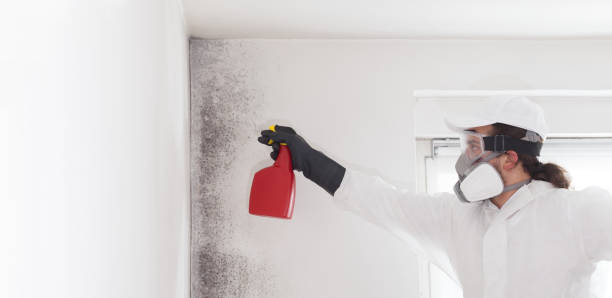Best Mold Testing  in Lockeford, CA